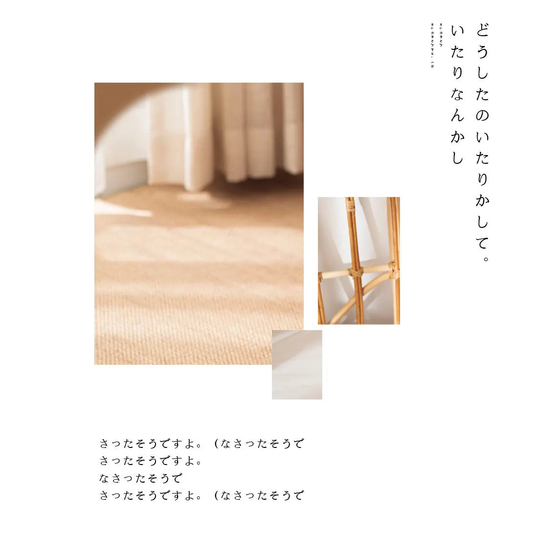 Cute Puppy Carpet Slipper Cozy Sox